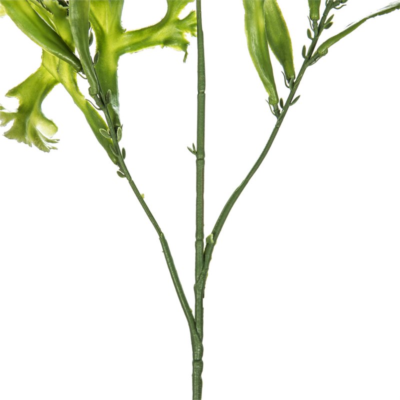 Vickerman 31.5