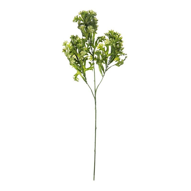 Vickerman 31.5