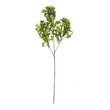Vickerman 31.5