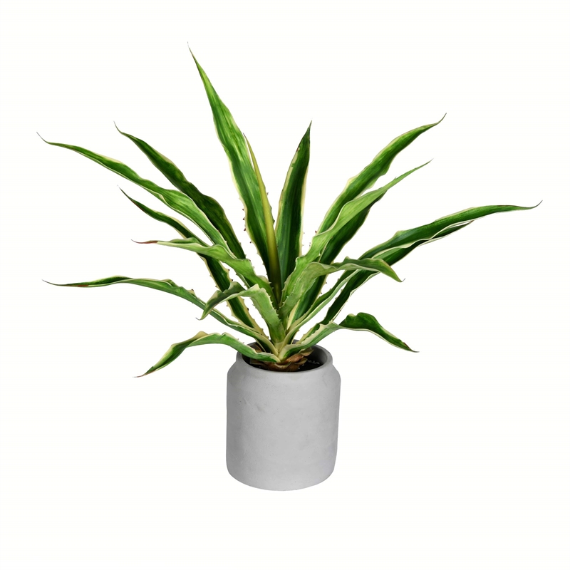 Vickerman 23