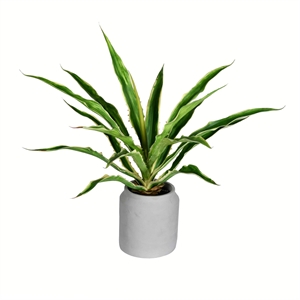Vickerman 23&quot Artificial Potted Yucca Plant with White Ceramic Pot in Green