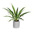 Vickerman 23