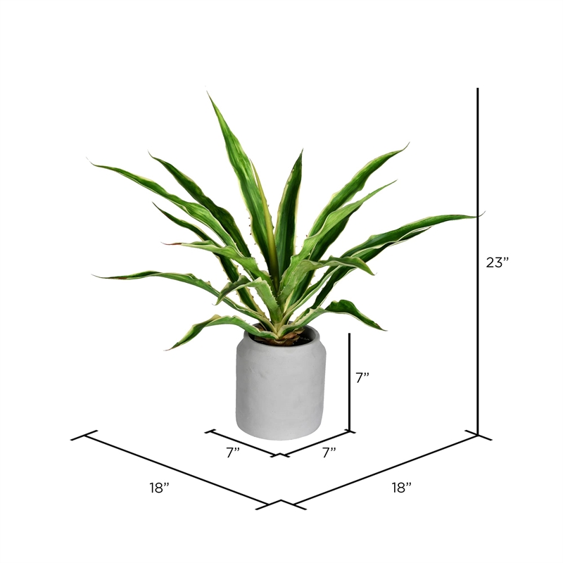 Vickerman 23