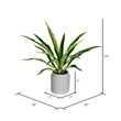 Vickerman 23