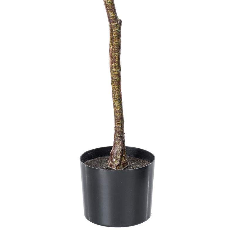 Vickerman 72