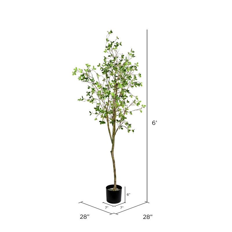 Vickerman 72