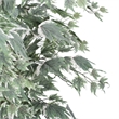 Vickerman 4' Artificial Maple Bush with Black Plastic Pot in Dark Green
