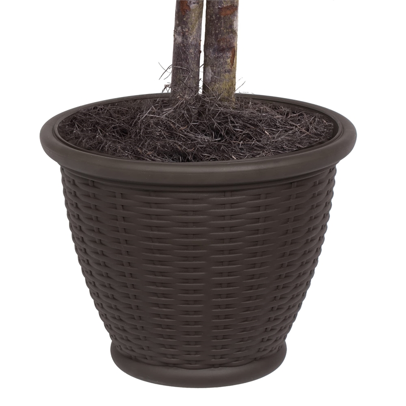 Vickerman 4' Artificial Frosted Maple Bush with Rattan Basket in Green