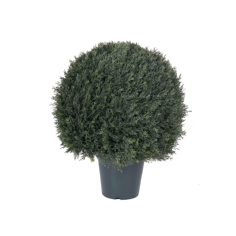 Vickerman 24
