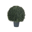 Vickerman 24