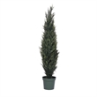 Vickerman 6' Plastic Artificial UV Resistant Pond Cypress Tree with Pot in Green