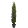 Vickerman 7' Plastic Artificial UV Resistant Pond Cypress Tree with Pot in Green