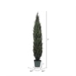 Vickerman 7' Plastic Artificial UV Resistant Pond Cypress Tree with Pot in Green