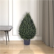 Vickerman 36