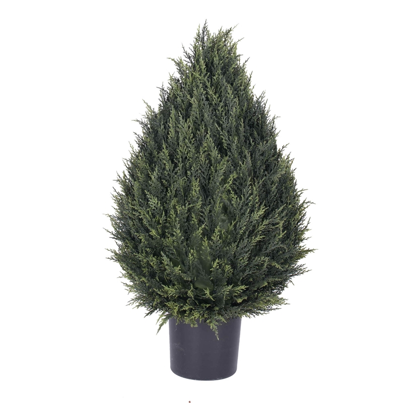 Vickerman 36