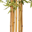 Vickerman 6' Artificial Green Bamboo Tree.