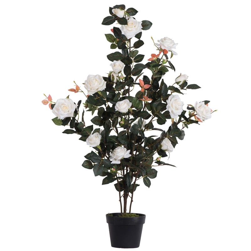 Vickerman 45