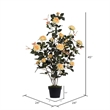 Vickerman 45