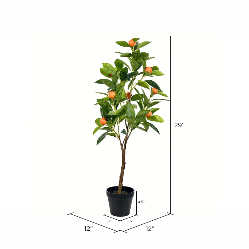 Vickerman 29