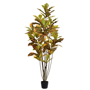 Vickerman 6' Potted Artificial Green and Orange Croton Tree