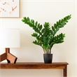 Vickerman 36