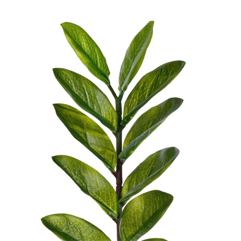 Vickerman 43