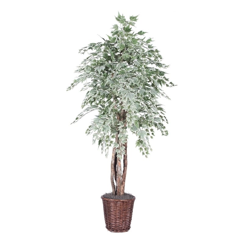 Vickerman 6' Artificial Maple Executive Tree with Basket in Green/Silver