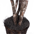 Vickerman 6' Artificial Japanese Maple Executive Tree with Basket in Green