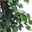 Vickerman 6' Artificial Ficus Deluxe Tree with Black Plastic Pot in Green