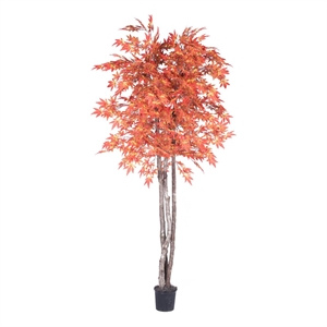 Vickerman 6' Artificial Maple Deluxe Tree with Black Plastic Pot in Orange
