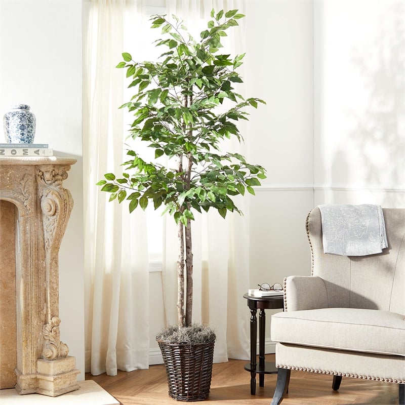 Vickerman 6' Artificial Ficus Tree with Rattan Basket in Dark Green