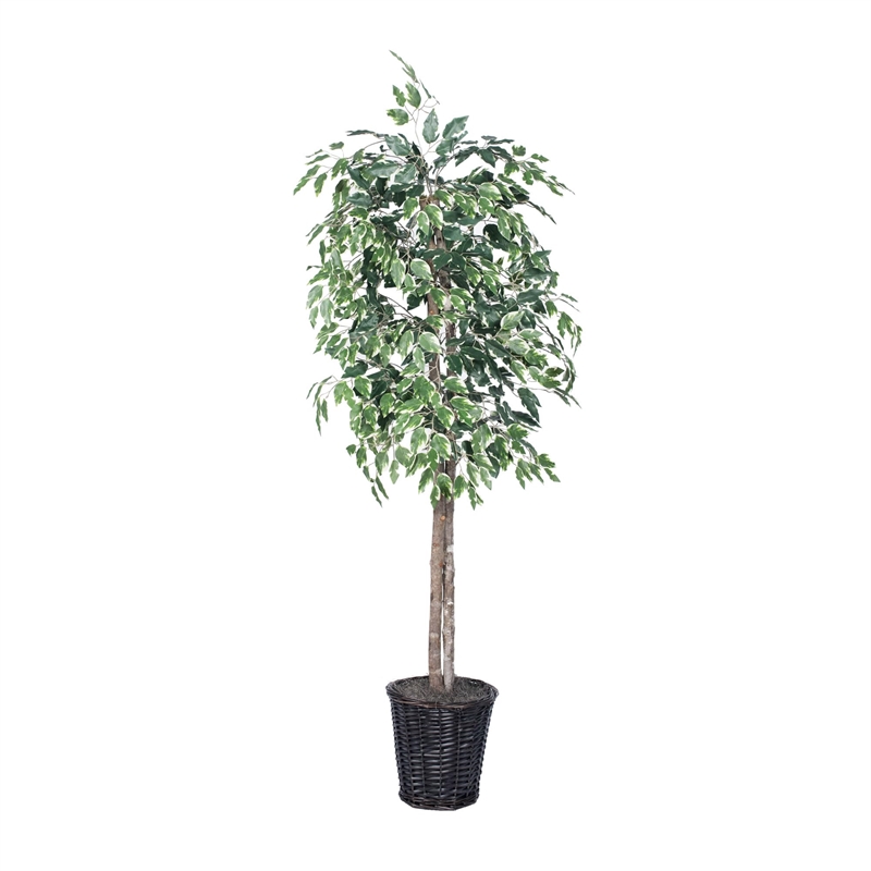 Vickerman 6' Artificial Variegated Ficus Tree with Rattan Basket in Green/White