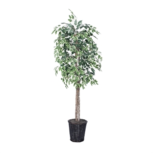 Vickerman 6' Artificial Variegated Ficus Tree with Rattan Basket in Green/White
