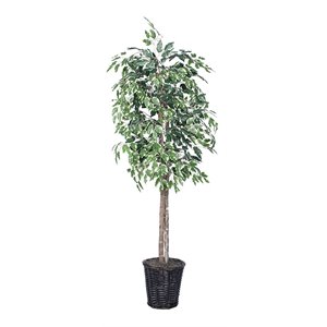 vickerman 6' artificial variegated ficus tree with rattan basket in green/white