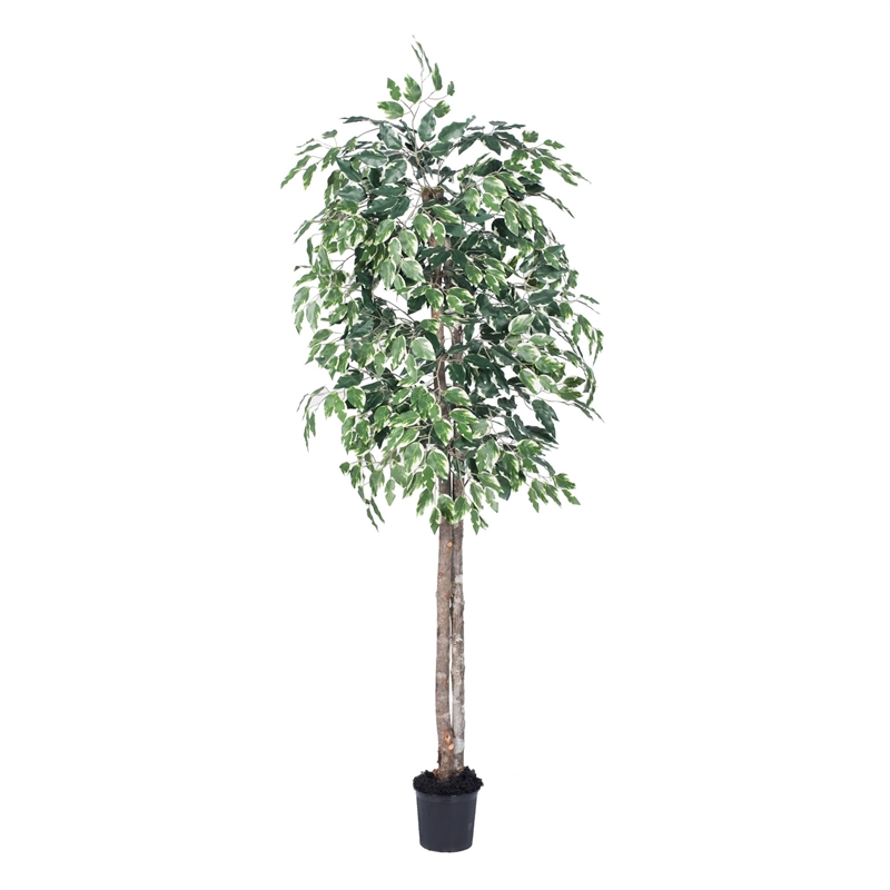 Vickerman 6' Artificial Variegated Ficus Tree with Black Pot in Green/White