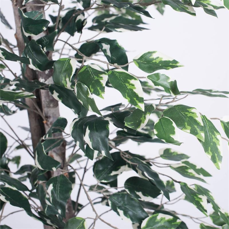Vickerman 6' Artificial Variegated Ficus Tree with Black Pot in Green/White