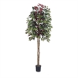 Vickerman 6' Artificial Capensia Tree with Black Plastic Pot in Green/Red