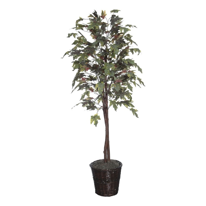 Vickerman 6' Artificial Frosted Maple Tree with Rattan Basket in Green/Brown
