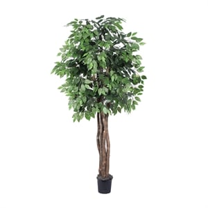 Vickerman 6' Artificial Ficus Executive Tree with Black Plastic Pot in Green