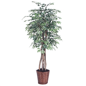 Vickerman 6' Artificial Variegated Ficus Executive Tree w/ Basket in Green/White