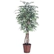 Vickerman 6' Artificial Variegated Ficus Executive Tree w/ Basket in Green/White