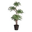 Vickerman 6' Artificial Multi Level Japanese Maple Tree with Basket in Green