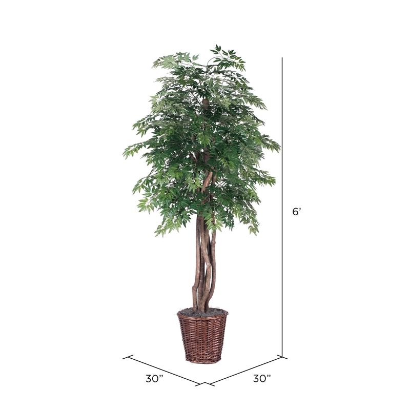 Vickerman 6' Artificial Ming Aralia Executive Tree with Rattan Basket in Green
