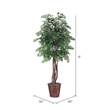 Vickerman 6' Artificial Ming Aralia Executive Tree with Rattan Basket in Green