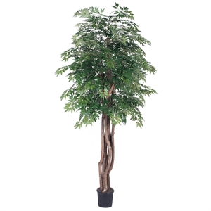 Vickerman 6' Artificial Ming Aralia Executive Tree with Black Pot in Green