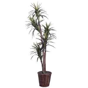 Vickerman 6' Artificial Marginata Executive Tree with Rattan Basket in Green