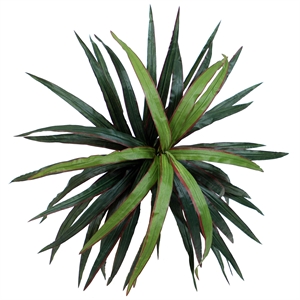 Vickerman 6.5' Artificial Marginata Executive Tree with Black Pot in Green