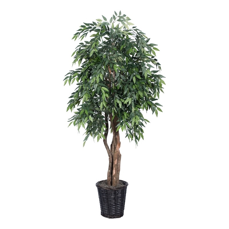 Vickerman 6' Artificial Smilax Executive Tree with Rattan Basket in Green