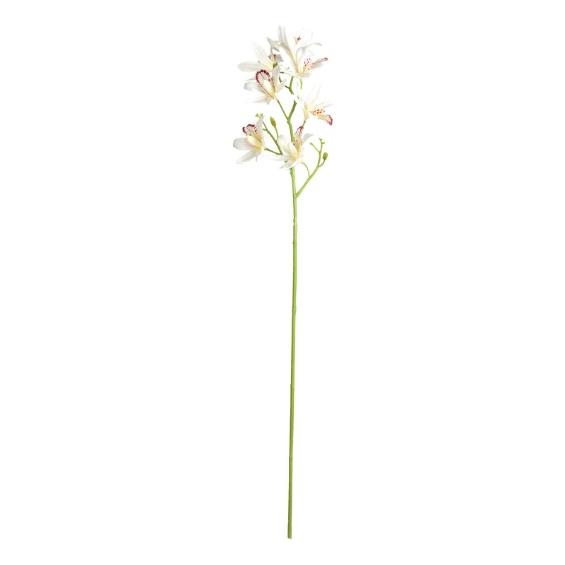 Vickerman 32