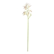 Vickerman 32